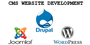 CMS Website Development in Coimbatore